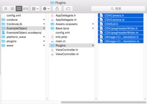 Cordova在iOS開發中的應用 相機插件與軟件開發實踐
