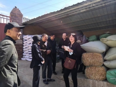 全國畜牧總站深入尋甸開展調研，共繪現代畜牧業與飼料銷售新藍圖